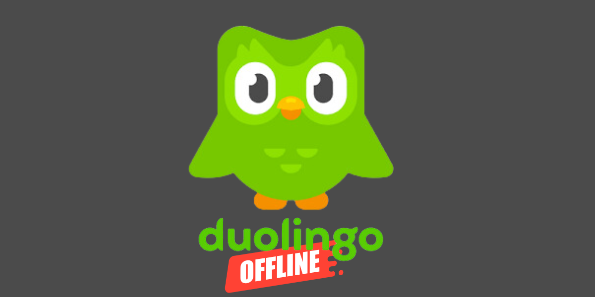 Usar Duolingo sin Internet