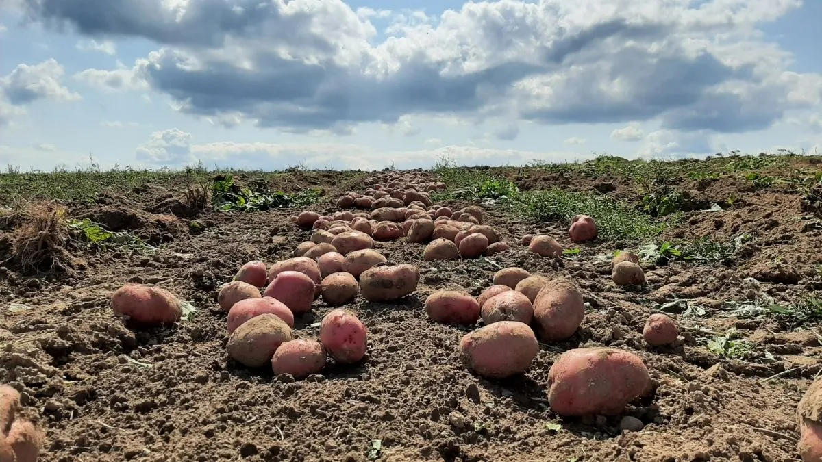 Degradación del 40% de suelos en Colombia amenaza la seguridad alimentaria